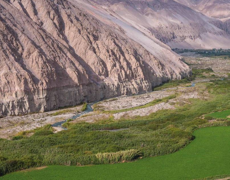 causas de la perdida biodiversidad