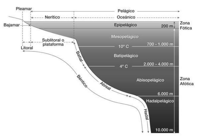 clases de ecosistemas marinos